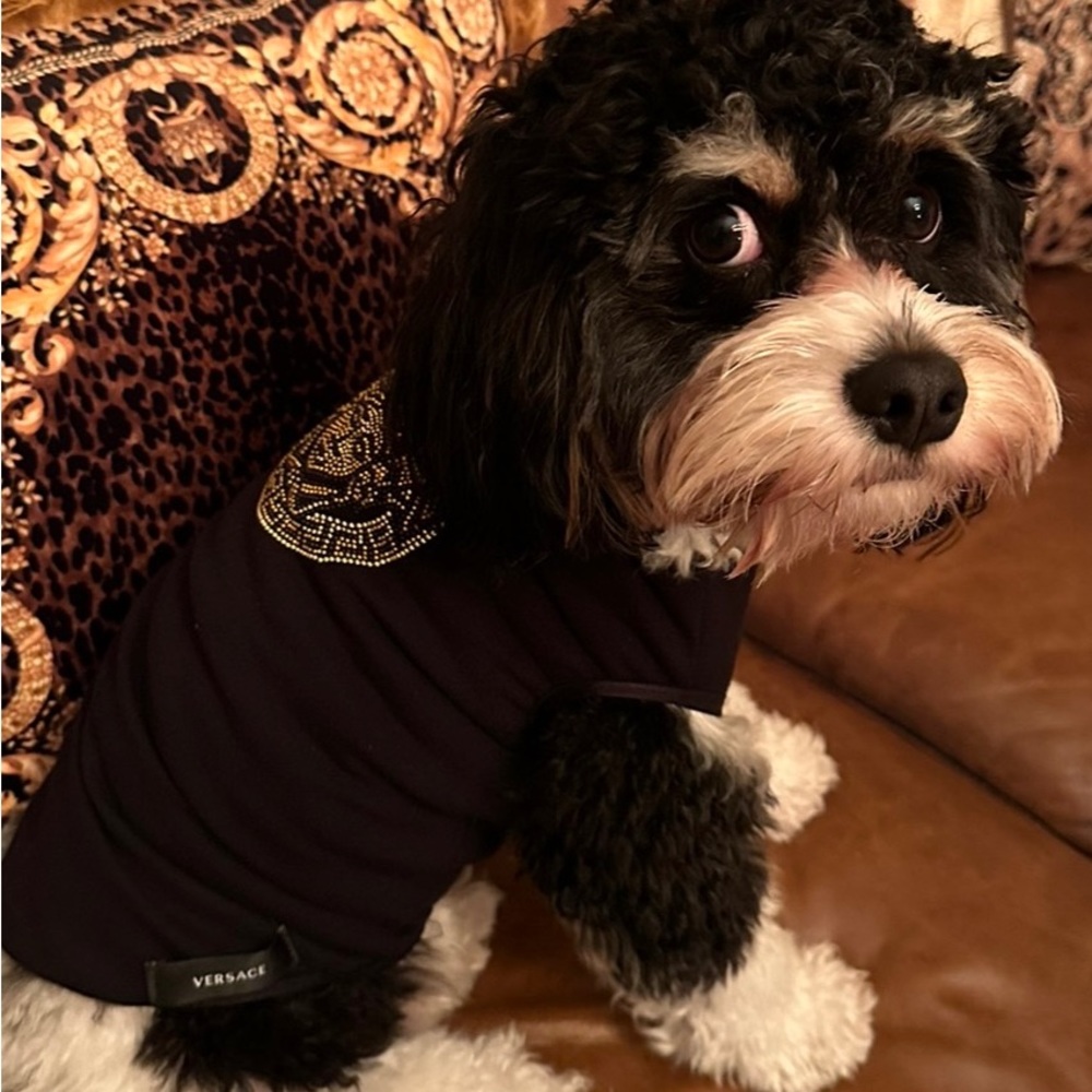 Versace Medusa pet jumper size Small